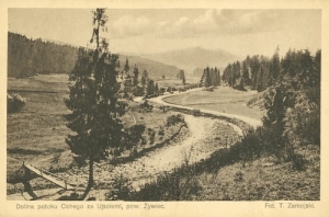 Żywiec Dolina potoku Cichego - Reprodukcja 5169