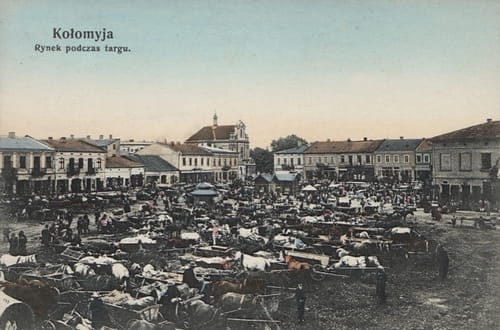 nowe-26724.jpg