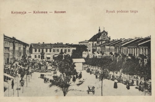 nowe-26729.jpg