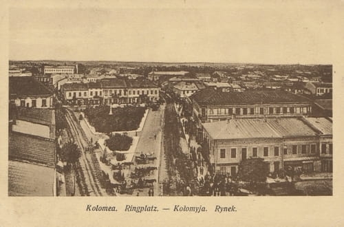 nowe-26737.jpg