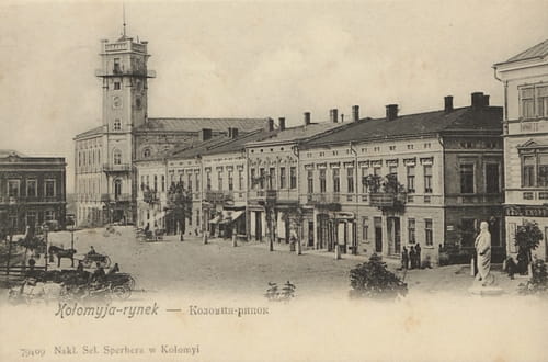 nowe-26739.jpg