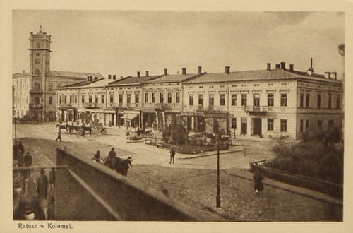 nowe-26742.jpg
