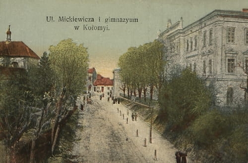 nowe-26768.jpg