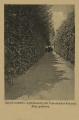 nowe-26776.jpg