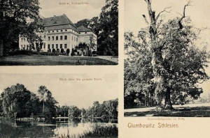 Głębowice widokowa - Reprodukcja 26453