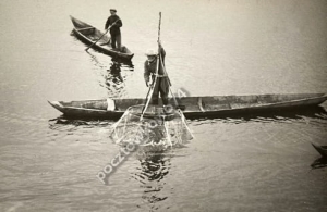 Pińsk rybak na Pinie -Reprodukcja 2287