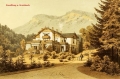 nowe-26833.jpg