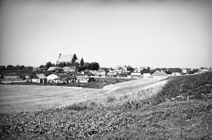 Brześć Kujawski - Reprodukcja 26856