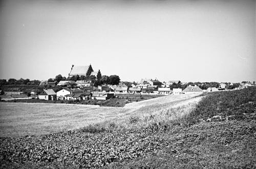nowe-26856.jpg