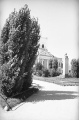 nowe-26858.jpg