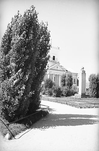 nowe-26858.jpg