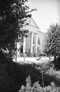 Brześć Kujawski - Reprodukcja 26859