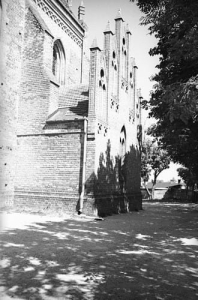 Brześć Kujawski - Reprodukcja 26861