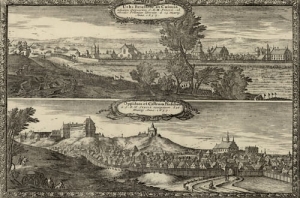 Brześć Kujawski - Reprodukcja 26864