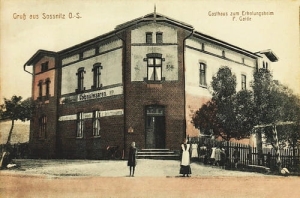 Woźniki Sośnica - Reprodukcja 26874