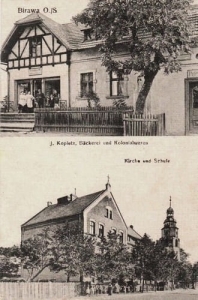 Bierawa widokowa - Reprodukcja 26882