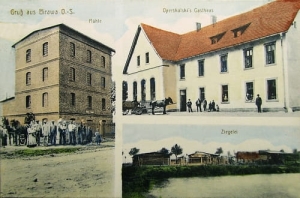 Bierawa widokowa - Reprodukcja 26886