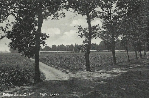 nowe-26891.jpg