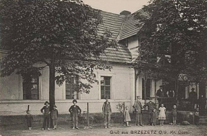 Brzeźce - Reprodukcja 26894