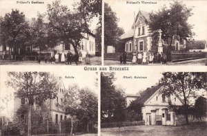 Brzeźce - Reprodukcja 26895