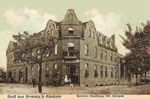 Brzeźce - Reprodukcja 26896