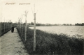 nowe-26979.jpg