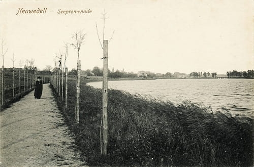 nowe-26979.jpg