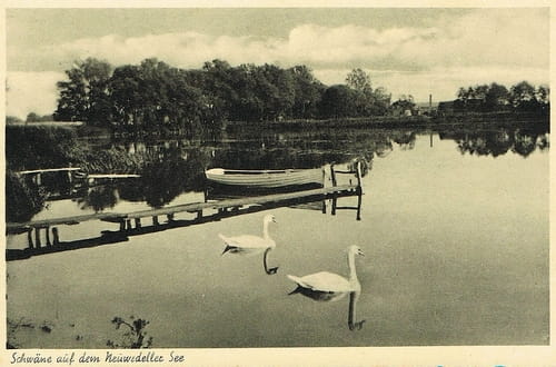 nowe-26982.jpg