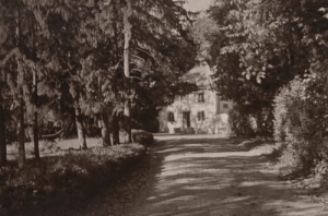 Jabłonna - Reprodukcja 27015