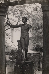 Jabłonna - Reprodukcja 27018