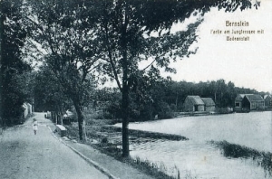 Pełczyce jezioro - Reprodukcja 27039