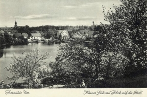 Pełczyce panorama - Reprodukcja 27047