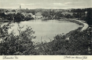 Pełczyce panorama - Reprodukcja 27048