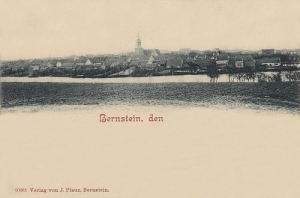 Pełczyce panorama - Reprodukcja 27049