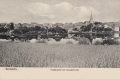 nowe-27058.jpg