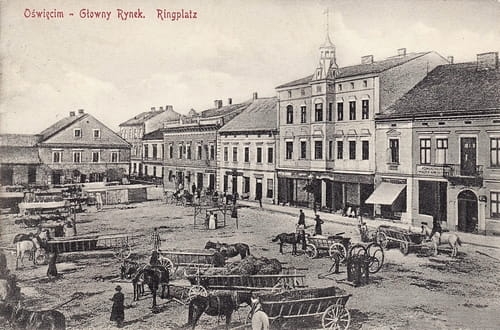 nowe-27089.jpg