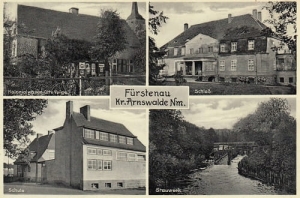 Barnimie widokowa - Reprodukcja 27112