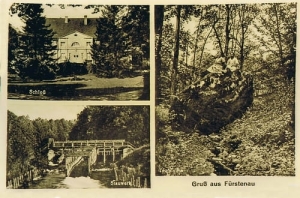 Barnimie widokowa - Reprodukcja 27113