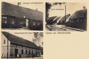 Bierzwnik widokowa - Reprodukcja 27127
