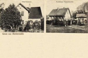 Bierzwnik widokowa - Reprodukcja 27130