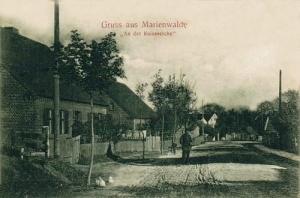Bierzwnik - Reprodukcja 27131