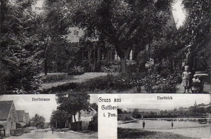 Boguszyny widokowa - Reprodukcja 27138