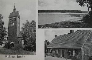 Breń widokowa - Reprodukcja 27142