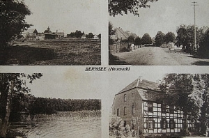 Breń widokowa - Reprodukcja 27143