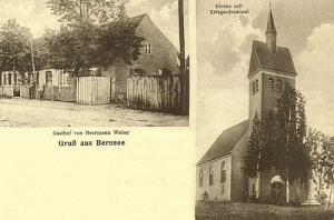 Breń widokowa - Reprodukcja 27144