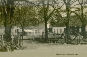 Płotno - Reprodukcja 27245