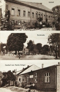 Pomień widokowa - Reprodukcja 27254