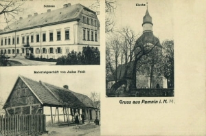 Pomień widokowa - Reprodukcja 27257