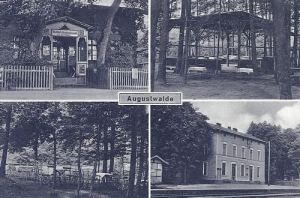 Rębusz widokowa - Reprodukcja 27265