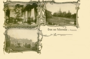 Sokoliniec widokowa - Reprodukcja 27280